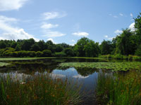 Etang Rosnay PNR Brenne tn