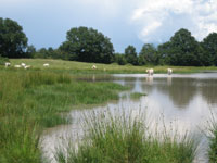 paysage grande brenne tn